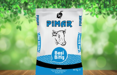 BESİ BAŞLANGIÇ