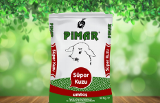 SÜPER KUZU